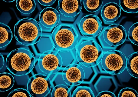 Illustration of healthy cells representing cellular regeneration